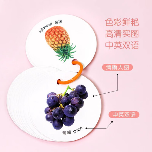 Yuxiang Baby Erleuchtung früh Bildung Kognitionskarte flip durch die Bilder zum Lesen von Alphabetisierungstiere und Pflanzen digitale Spielzeuge y Erleuchtung Klassische chinesische Studien müssen wissen (insgesamt 10 Bände)