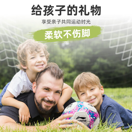 Li Ning (LI-NING) Football No. 5 Adult Children No. 4 Kindergarten Primary School Student Training Competition Standard Ball for High School Entrance Examination Machine Sewn Football No. 673-3/671-3