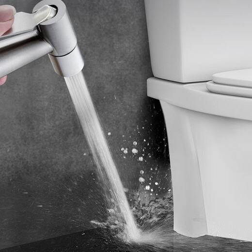 Dezhong spray gun high pressure water spray gun flushing water gun D61 304 stainless steel