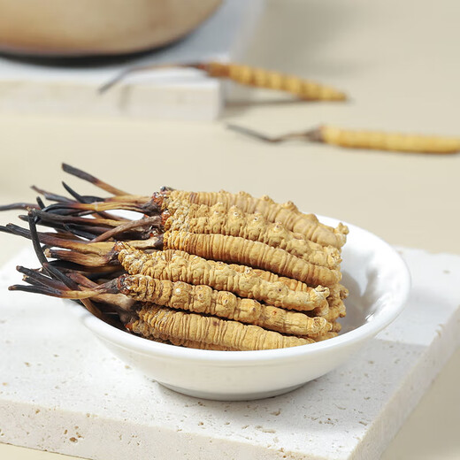 Yuanjiang Grass Cordyceps sinensis nueva caja de regalo Cordyceps seca para productos secos, entregados a líderes y ancianos 4 palos/g 10 gramos [caja de regalo ajustada]