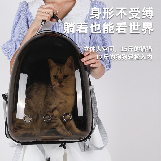 Pochido breathable cat bag brown model [recommended 15 Jin [Jin equals 0.5 kg] cat inside/13 Jin [Jin equals 0.5 kg] dog inside] Cat bag portable space capsule shoulder summer breathable portable flight case