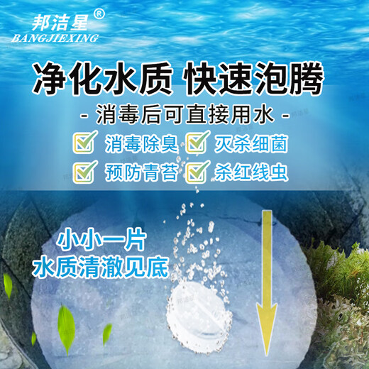 Bangjiexing Outdoor Water Purification Tablets Emergency Outdoor Adventure Survival Travel Essential Camping Drinking Water Purification Tablets 600 Tablets