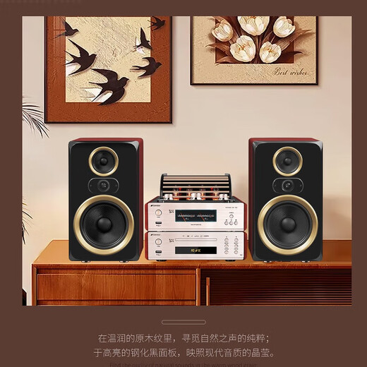 Shanshui (SANSUI) M2 tube combination audio Bluetooth amplifier CD/DVD Home HIFI Bluetooth subwoofer speaker FM radio 2.0 stereo desktop speaker set M2 [4 bile duct amplifier + DVD + three-point speaker]