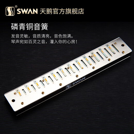 Swan (SWAN) polyphonic harmonica 24-hole beginners advanced adult professional playing instruments season gift Twilight