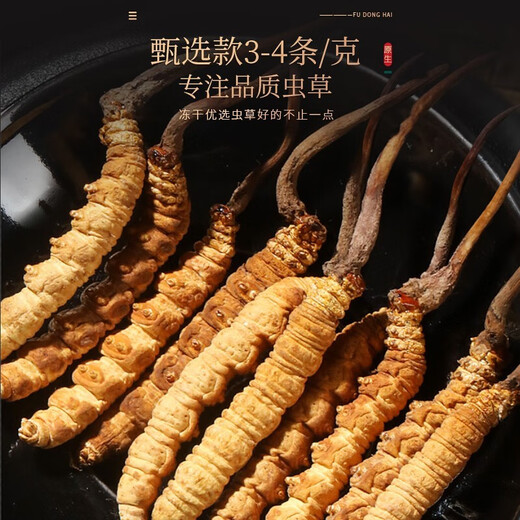 福东海 冬虫夏草礼盒【特优品质整条】 甄选高海拔冻干高洁净无断草送礼 【权利棕礼盒】4-5条/g 10克整草