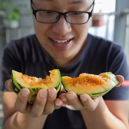 Shouhe Bingtangzi small melon seeds, tall pear-shaped melon seeds, early maturing four-season balcony potted seeds, Bingtang Prince melon seeds 80 capsules + 5 seedlings