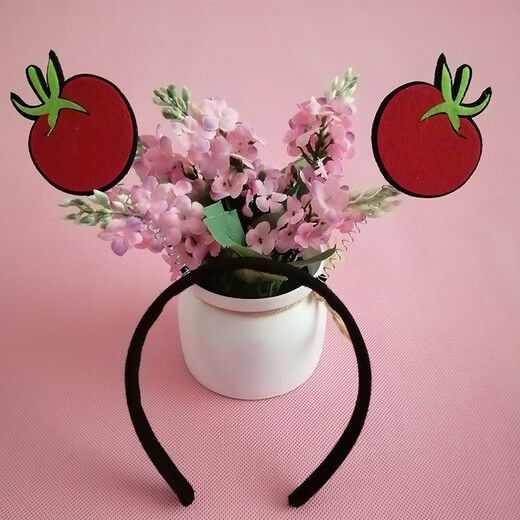 Lingchuan Watermelon Tomato Fruits and Vegetables DIY Spring Headband Festival Funny Student Sports Hair Accessories Customized Cute and Cute Carrot Spring Headband