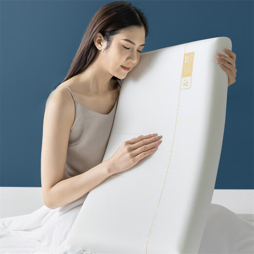 Antarctic human slow rebound memory foam pillow cervical pillow adult sleeping special hotel deep sleep pro pillow core a pair of men's pillow memory pillow-high pillow 42x70x10cm [one pair]
