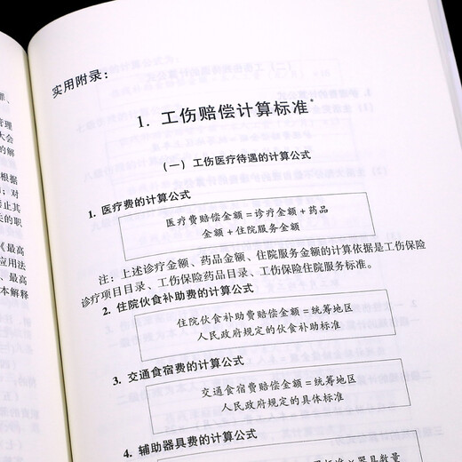 Production Safety Law of the People's Republic of China (Practical Edition) (Latest Edition 2021)