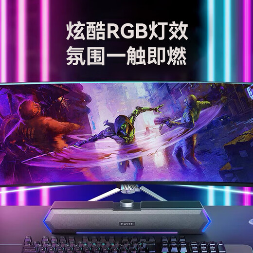 海威特（HAVIT）【20万好评】电脑音响音箱台式桌面家用笔记本主机usb有线长条网课迷你低音炮外放喇叭 M19黑色