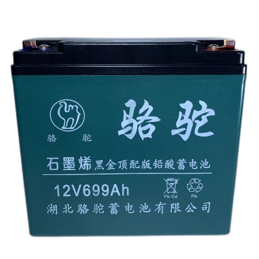 山头林村12V20安60安大容量铅酸电池UPS电源户外摆摊音响12伏骆驼蓄电瓶 全新12V699A电池+充电器+背包