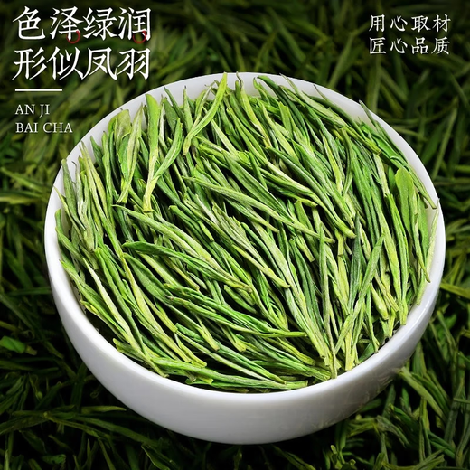 Chen Yifan rare white tea tea green tea Anji Baiye No. 1 tea tree fresh leaves and buds rare white tea 4 cans total 200g Chen Yifan rare white tea tea green tea Anji Baiye No. 1 tea tree fresh leaves and buds rare white tea 4 cans total 200g