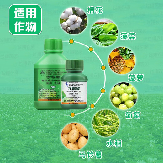Sanliu Shanghai Tongrui 3% gibberellic acid gibberellin 920 weight-increasing seedlings and yield-increasing plant growth regulator 1L