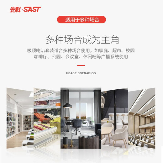先科（SAST） 壁挂蓝牙功放重低音音响套装大功率影音箱组合家用店铺室内超市餐厅挂壁式奶茶店背景音乐 300W功放+5.5寸重低音壁挂*4