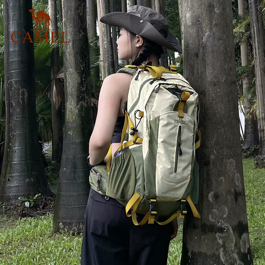 
Camel mountaineering bag outdoor professional backpack men and women sports backpack tourism hiking water-splashing mountaineering schoolbag free rain cover, 1F01018C, shallow khaki