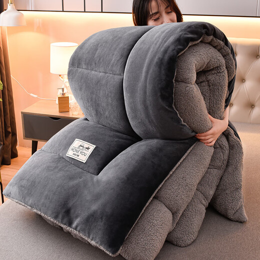 大学生羽绒被 被子羽绒丝被芯加绒被单人宿舍牛奶绒机洗羊羔绒冬被6斤8加厚10斤现代新款 深灰【双层加厚+羊羔绒+牛奶绒】 2.0*2.3m 10斤