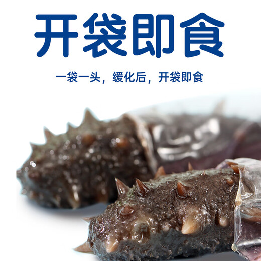 Haiyantang Dalian frozen ready-to-eat sea cucumber solids 70%3Jin Jin equal to 0.5kg, packed with 30-36 Liao sea cucumbers, seafood and aquatic products gift box