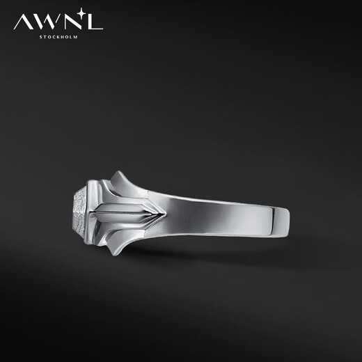 AWNL Seven Seas Ring Nordic M Meteorite Ring Men's Light Luxury Niche Fashion Jewelry as a Birthday Gift for Boyfriend Hk#20 (Inner Diameter 19.04mm)