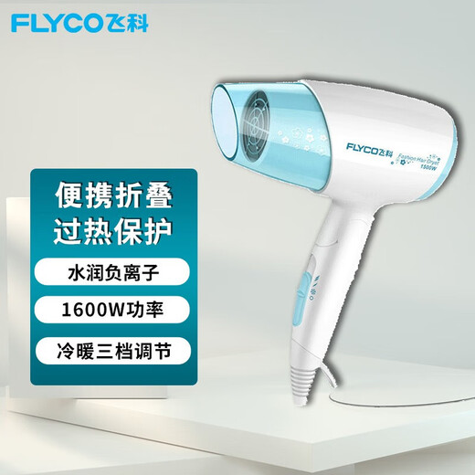 Borui Feike Hair Dryer Foldable Fan Negative Ion Hair Care Student Dormitory High Power Barber Shop Hotel Blower FH6223 1600W Foldable with Negative Ions