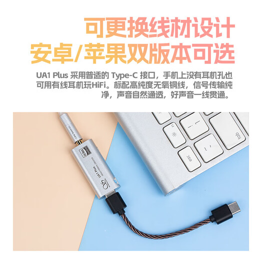 森海塞尔（Sennheiser）IE300/IE200/IE600/IE900 有线耳机旗舰级HiFi音乐高保真动圈入耳式耳挂耳塞超宽换能器 ie系列 IE200+山灵UA1 Plus小尾巴