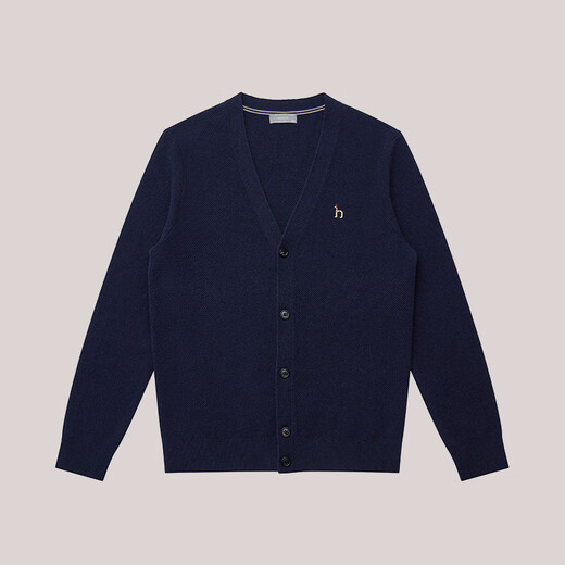 哈吉斯（HAZZYS）男装 秋冬款毛衣外套简约百搭羊毛开衫男ABYZD0BDF55 藏青色NV L （175/96A 48）