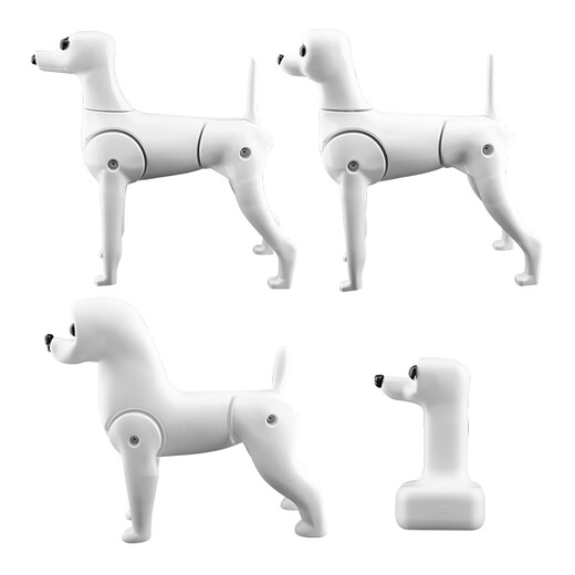 Black Bird Pet Professional Beauty Simulation Fake Hair Model Teddy Ram VIP Head Model Fake Dog Model Skeleton Practice Special Body Hair Film