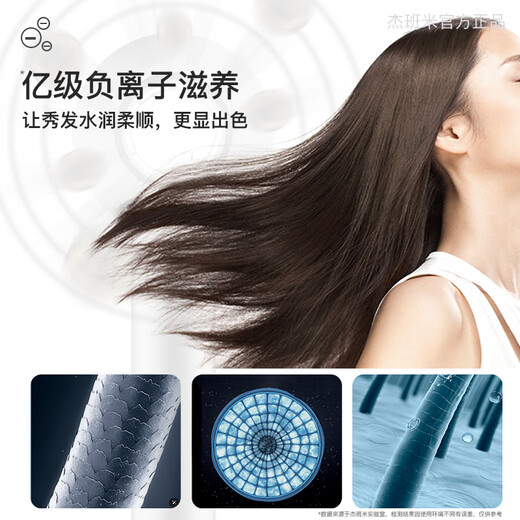 JEBANNI American Standard 110V Hair Dryer British Standard 220V Negative Ion Hair Dryer Home Taiwan American Standard Hong Kong Version Huaqiang North American Standard 110V-Bright Purple Single Air Nozzle-Domestic Ban