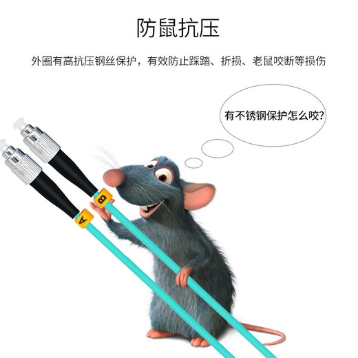 EB-LINK 电信级LC-LC铠装OM3万兆多模双芯10G光纤跳线OM4双工尾纤防鼠咬抗拉抗压 铠装万兆多模双芯OM3 15米