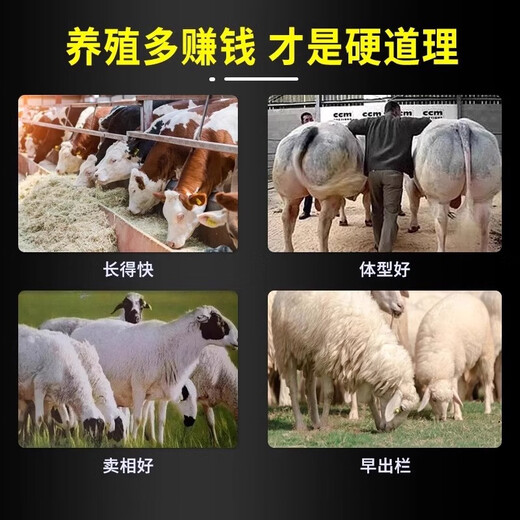 Sheep fattening, fattening, weight gain, growth promotion, fattening, feed additive, chicken, duck, goose, cattle and sheep premix, poultry and veterinary use, 5 packs, buy 3, get 2 free, gluttony, sleepiness, growth