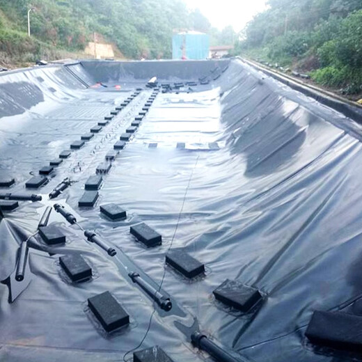 Qingyixuan fish pond anti-seepage membrane geomembrane fish pond tarpaulin breeding fish pond membrane pond membrane fish pond breeding membrane whole roll 16 meters 50 meters 0.2 mm thick