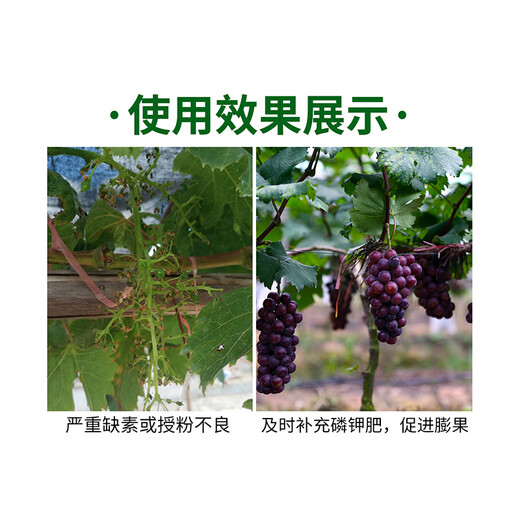Greenlong Potassium Dihydrogen Phosphate Foliar Fertilizer Flower Fertilizer Rice Fruit Tree Promotes Flowering and Fruit Agricultural Universal Phosphorus-Potassium Fertilizer Instant Type 20kg*1 Big Bag