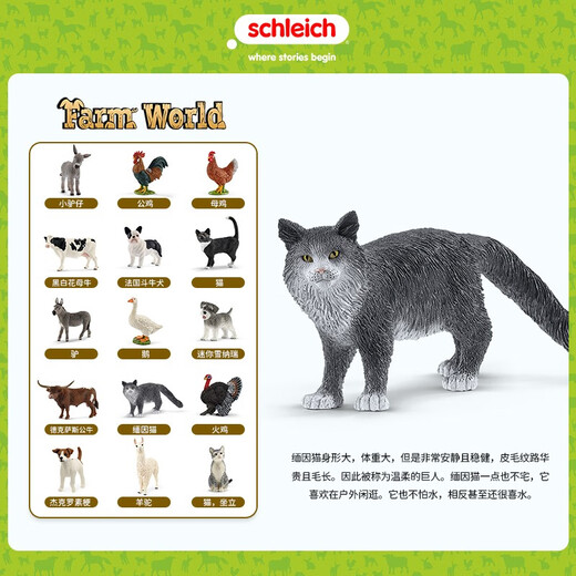Schleich S simulation animal model cat dog boy girl children toy gift enlightenment cognition 3+ Maine cat 13893