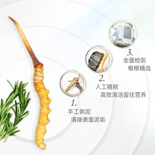 圣迪康藏2025年西藏那曲野生头茬新鲜冬虫夏草滋补品礼品 【顺丰空运】 1.2克/根  10根装