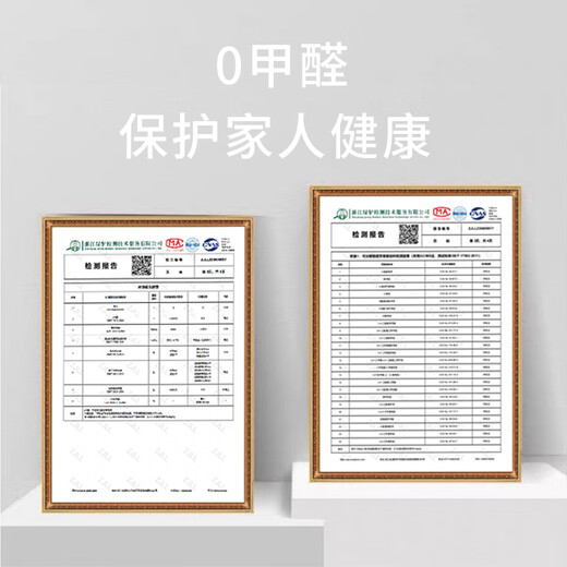 Budis carpet living room light luxury high-end sofa coffee table large size waterproof anti-slip no-wash and wipeable 2025 new floor mat