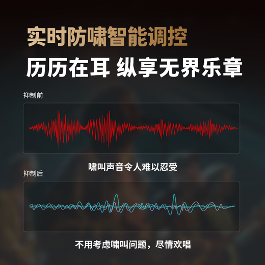 Melody DSP6300 karaoke reverberation digital audio preamp effector home theater anti-howling mixer processor including microphone mixer equalizer DSP6300+ML3208 variable frequency microphone set standard version