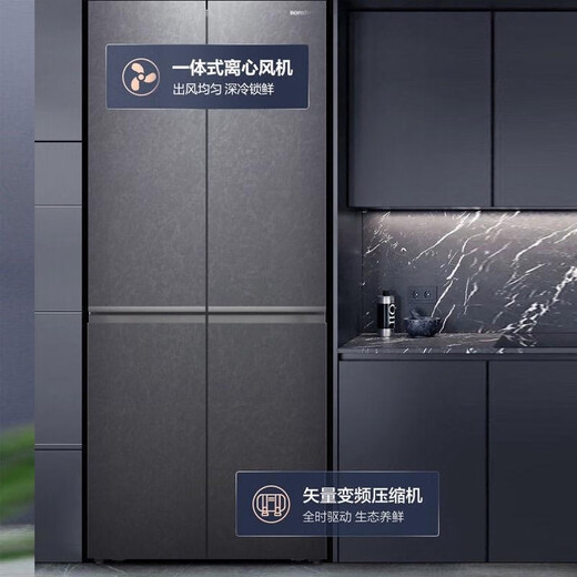 Ronshen BCD-465WRK1FPG color crystal dual-frequency dry and wet storage space four-dimensional purification refrigerator grade product brand new with slight defects