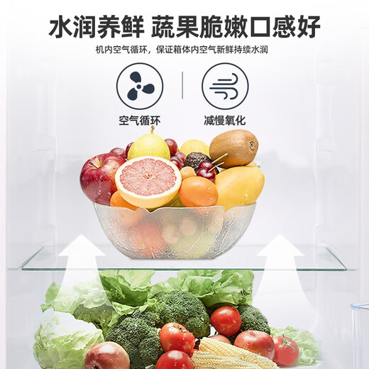 Royalstar (Royalstar) government subsidy 15% 187L double door refrigerator household small large capacity double door energy saving rental refrigeration ultra-thin micro-frost fresh-keeping refrigerator 187L first-class energy efficiency once every two days titanium dark gray