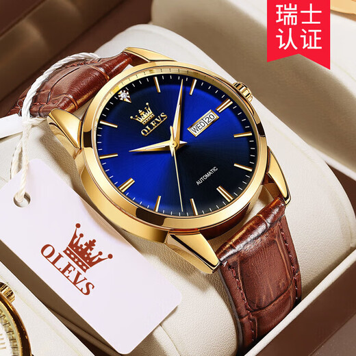 Olevs Swiss Certified Brand Watch Mechanical Uhr