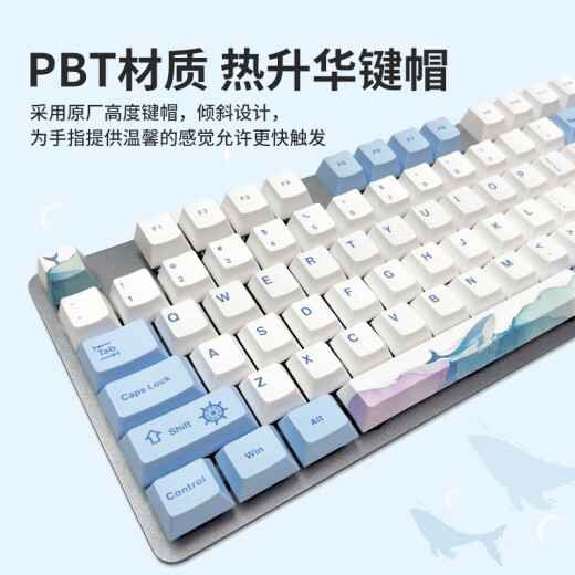 罗技（Logitech）K845机械键盘 游戏键盘 办公键盘有线全尺寸办公家用背光电竞吃鸡键盘 K845-茶轴-鲸落