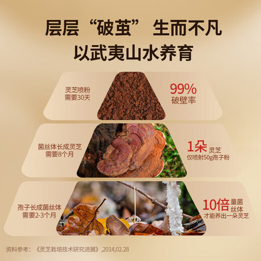 总统北京同仁堂灵芝孢子粉胶囊送礼佳品增强免疫力送长辈送父母 两瓶（60天量）
