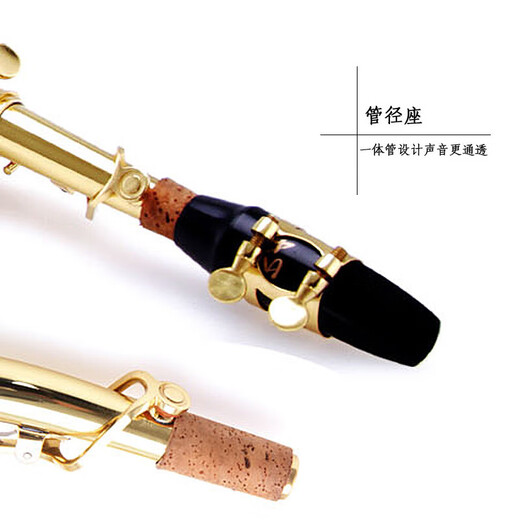 Golden Tone Tortune Saxophone B-flat B-key Beginner Practice Professional Grade Examination Performance Band Straight Wind Instrument JYSS-2000