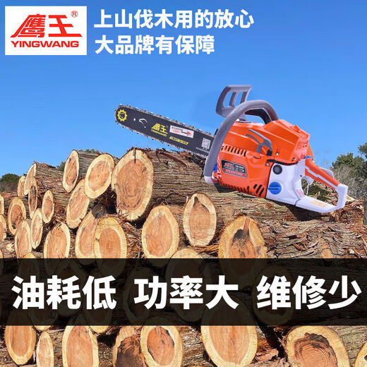 Eagle King Original Authentic 2500/5800/6500/6210 High Power Home Tragbare professionelle Protokollierungssäge Gott Säge Eagle King 2500 ist mit 1 importierter Kette und 1 Führungsplatte ausgestattet