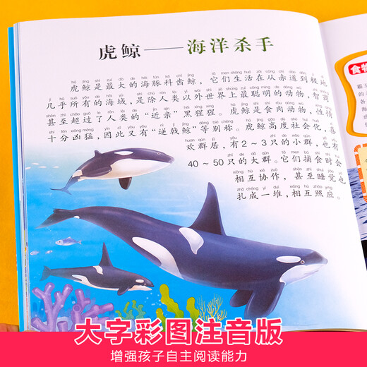
Marine Biology World Encyclopedia Color Picture Phonetic Edition Children's Books and Books Over 689 Years Old Picture Books Story Books for Grade 1 and 2 Primary School Students Fun Popular Science Encyclopedia Complete Set of Extracurricular Books with Pinyin Children's Encyclopedia - Animal World (Audio Companion Reading Colors