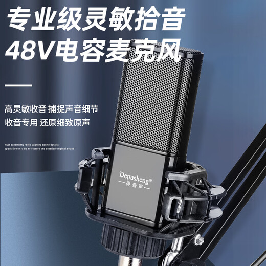 DepushengDepusheng UR22 mobile computer live broadcast sound card USB recording professional post-dubbing arranger delivery anchor audio book guitar instrument external sound card high-fidelity condenser microphone 48V sound card set (square tube)