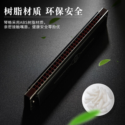 天鹅德国进口音簧复音口琴重音高端成人专业演奏级乐器长辈送礼 28孔 蓝色复音C调 【专业演奏级】