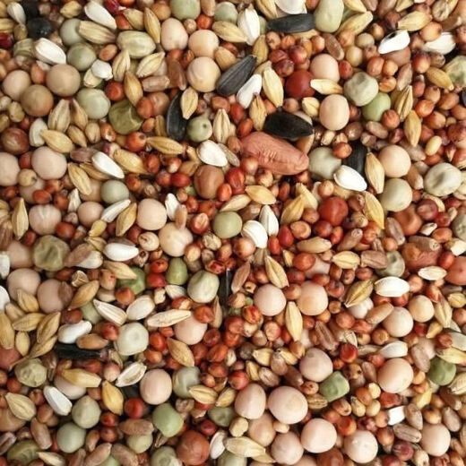 New pigeon food nutrition contains corn 10kg bird food homing pigeon white adult young pigeon ornamental pigeon food without corn pigeon food 10Jin Jin is equal to 0.5 kg