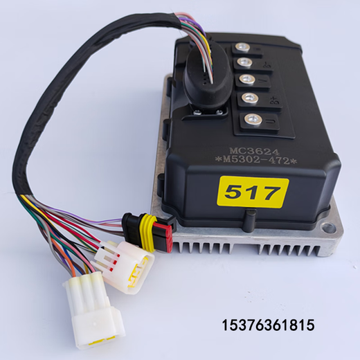 Inbor Controller 3624/3625 Bidevin D50 Reading Jin Peng D70 Baoluda Hantang Elektrofahrzeug 3625-7227 (Typ 756)