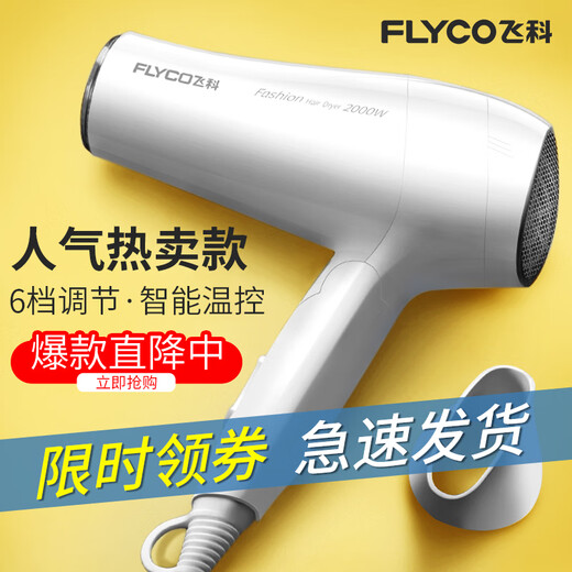 飞科吹风机家用负离子护发宿舍用学生可折叠大功率不伤发电吹风筒 FH6231+收纳架