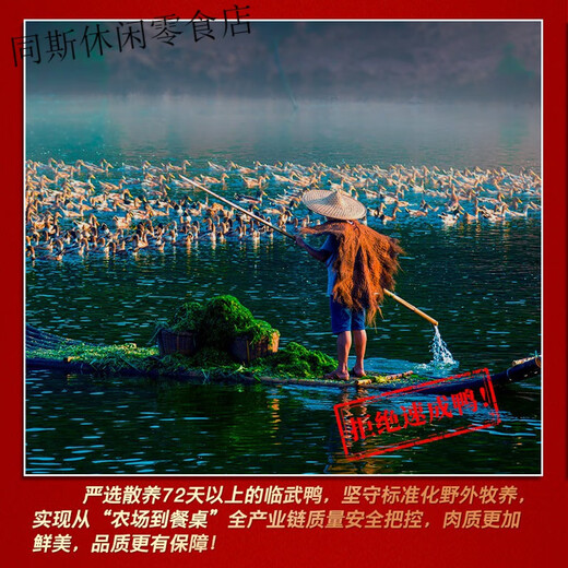 Shunhua sauce salted duck Hunan specialty Chenzhou Linwu duck camellia oil duck snacks braised cooked food elders + gift 350g spicy sauce salted duck (bag)