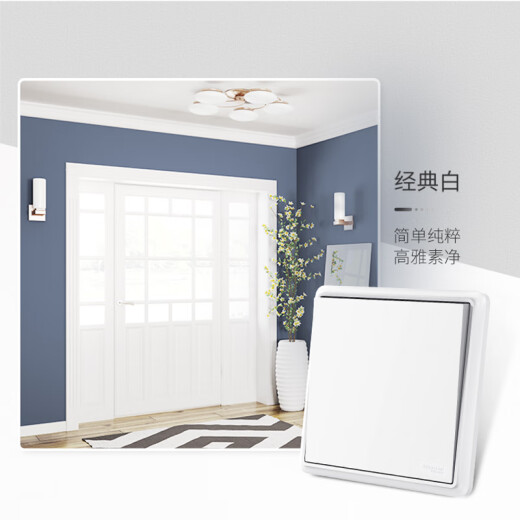 Schneider switch socket panel type 86 wall 5-hole socket panel Zhiyi series classic white 10A five-hole socket 10 pieces